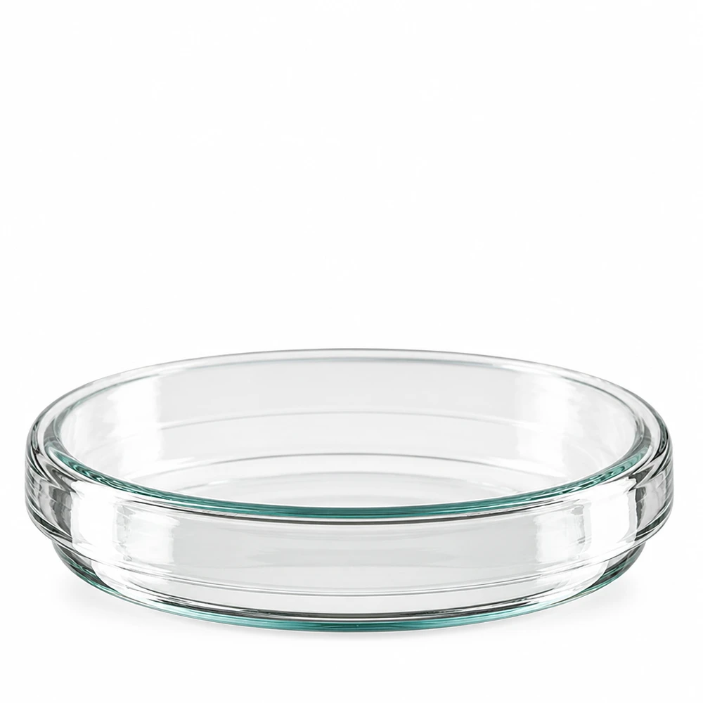 Transparente Petrischale aus Borosilikatglas 80mm Durchmesser 15mm Höhe