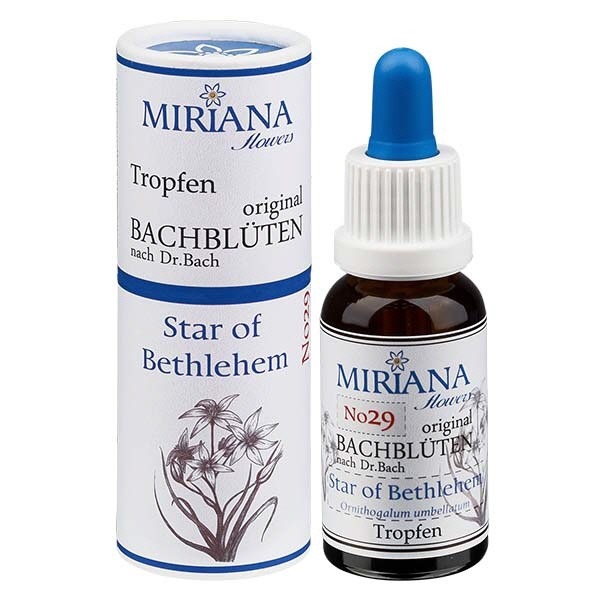 29 Star of Bethlehem, 20ml Essenz, MirianaFlowers 29 Star of Bethlehem, 20ml Essenz, MirianaFlowers