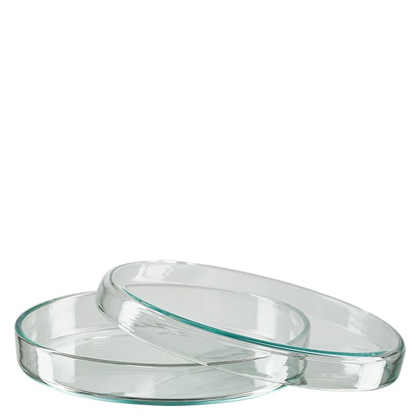 Petrischale 90x15mm Glas Petrischale 90x15mm Glas