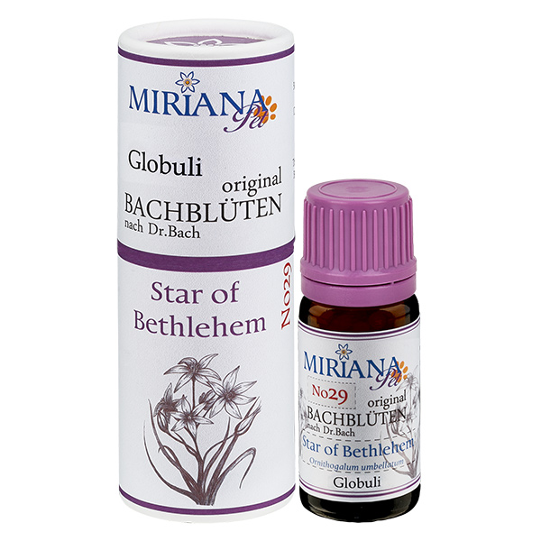 29 Star of Bethlehem, 10g Globuli, MirianaPet 29 Star of Bethlehem, 10g Globuli, MirianaPet