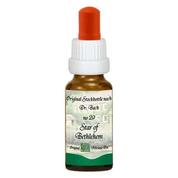 29 Star of Bethlehem, 20ml Stockbottle, MirianaPet 29 Star of Bethlehem, 20ml Stockbottle, MirianaPet