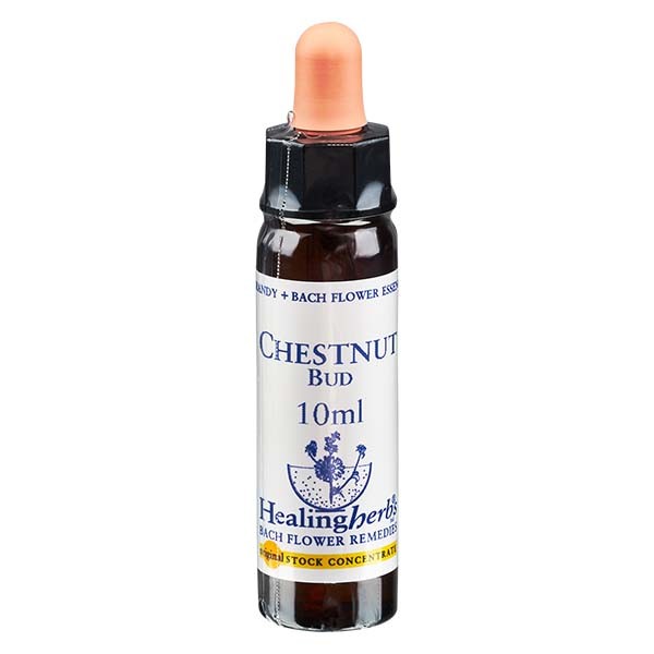 7 Chestnut Bud, 10ml, Healing Herbs
