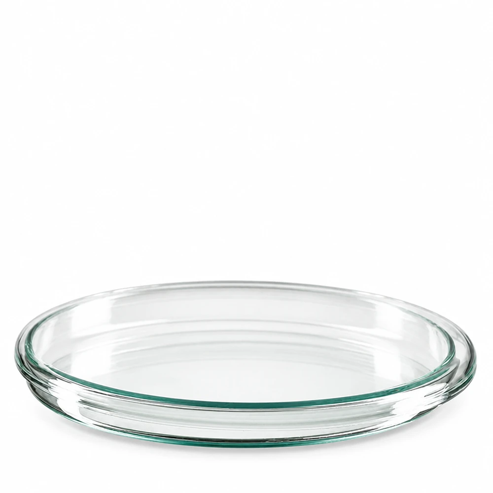 Transparente Laborpetrischale aus Borosilikatglas 100x10mm leicht