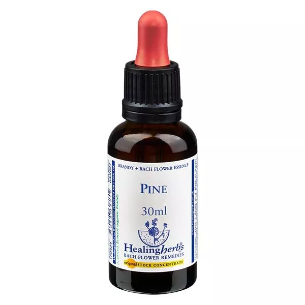 24 Pine, 30ml, Healing Herbs 24 Pine, 30ml, Healing Herbs