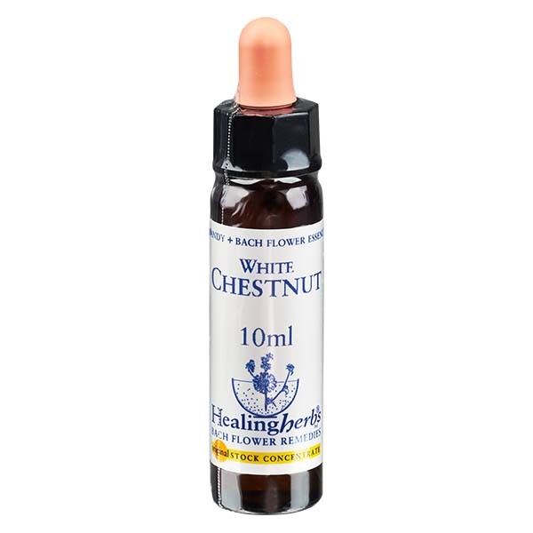 35 White Chestnut, 10ml, Healing Herbs