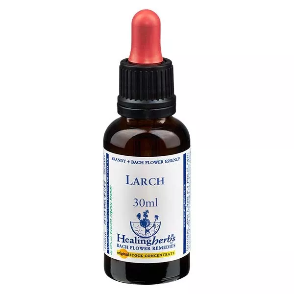 19 Larch, 30ml, Healing Herbs 19 Larch, 30ml, Healing Herbs