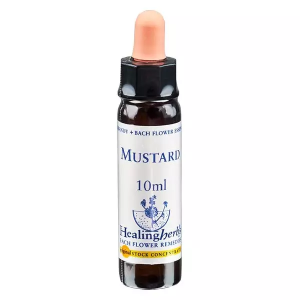 21 Mustard, 10ml, Healing Herbs