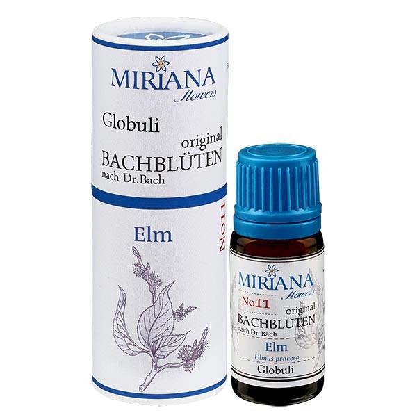 11 Elm, 10g Bach-Globuli, MirianaFlowers 11 Elm, 10g Bach-Globuli, MirianaFlowers