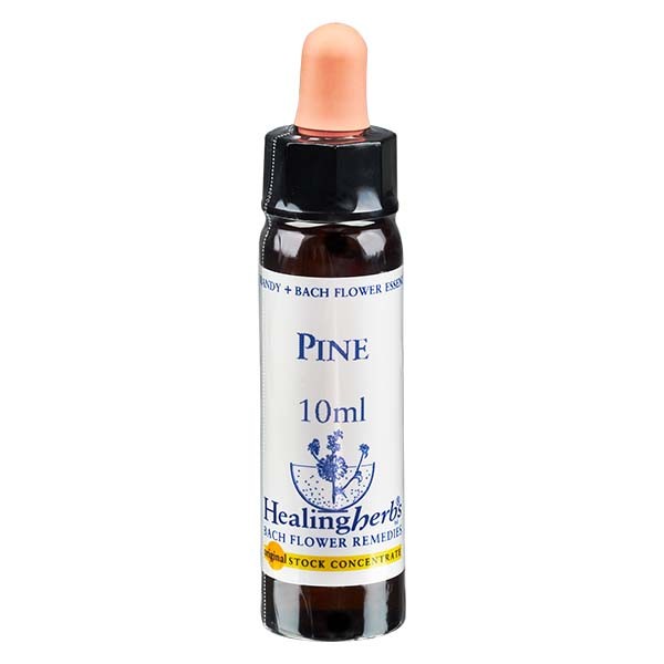 24 Pine, 10ml, Healing Herbs 24 Pine, 10ml, Healing Herbs
