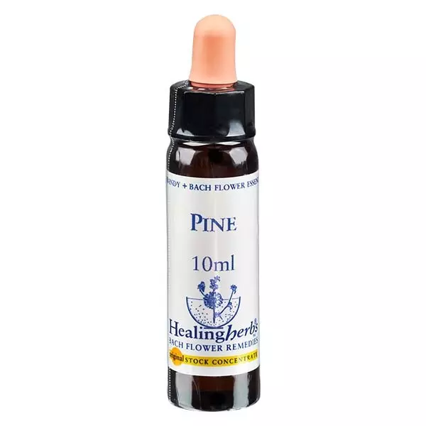 24 Pine, 10ml, Healing Herbs