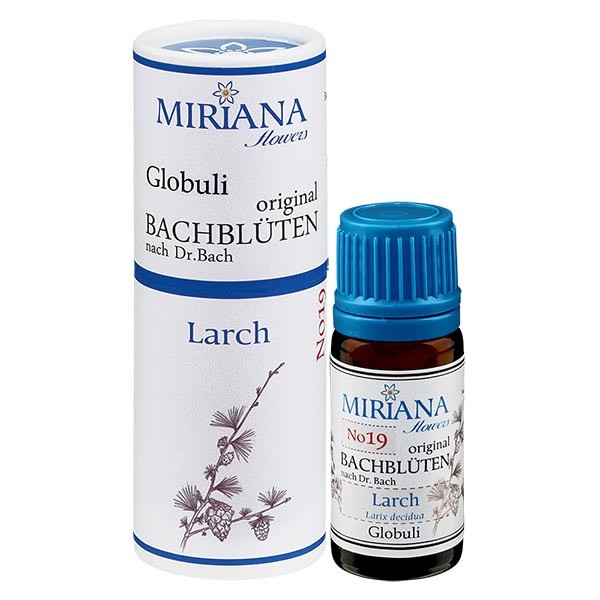 19 Larch, 10g Bach-Globuli, MirianaFlowers 19 Larch, 10g Bach-Globuli, MirianaFlowers