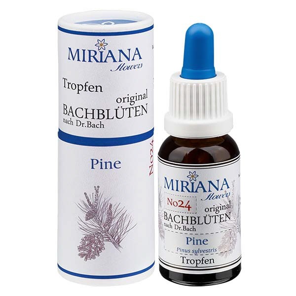 24 Pine, 20ml Essenz, MirianaFlowers 24 Pine, 20ml Essenz, MirianaFlowers