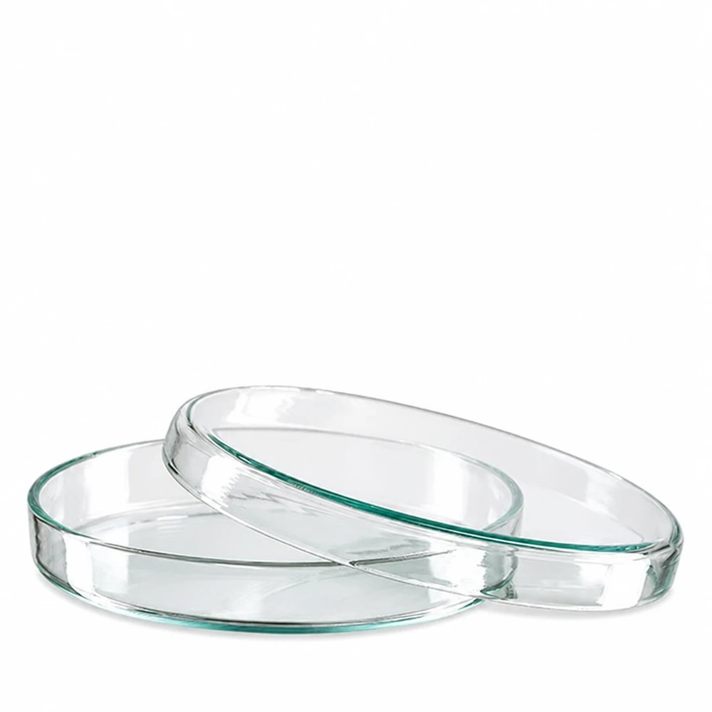 Petrischale 90x15mm Glas Runde Glaspetrischale 90mm Durchmesser 15mm hoch transparent für Labor und Mikrobiologie