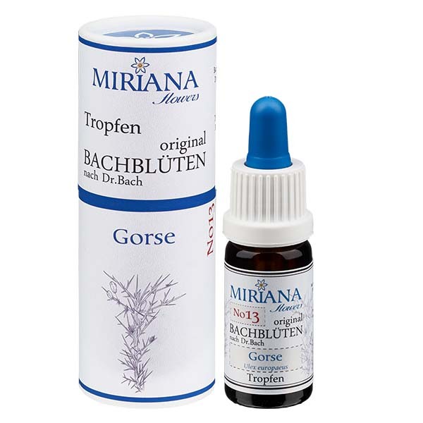13 Gorse, 10ml Essenz, MirianaFlowers 13 Gorse, 10ml Essenz, MirianaFlowers