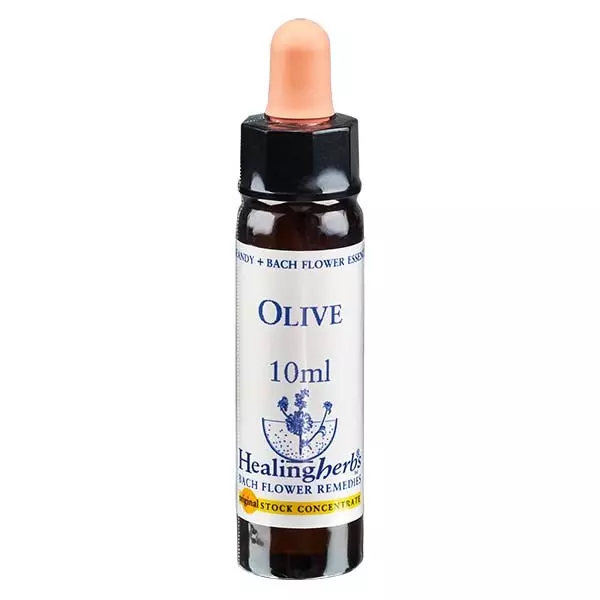 23 Olive, 10ml, Healing Herbs