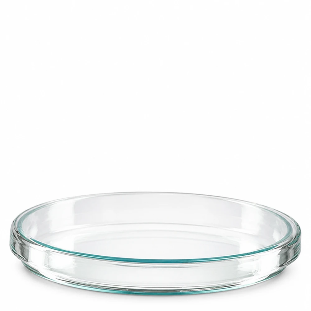 Transparente runde Petrischale aus Glas mit flachem Boden und niedrigem Rand 100x15mm