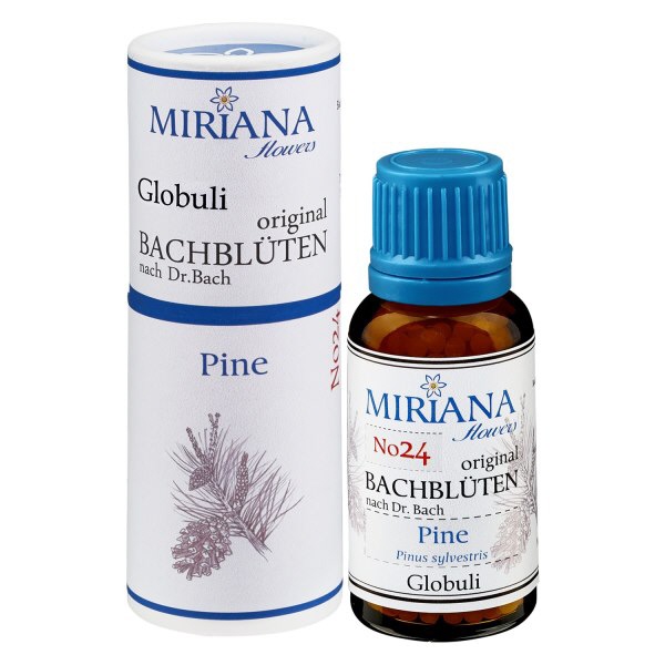 24 Pine, 20g Bach-Globuli, MirianaFlowers 24 Pine, 20g Bach-Globuli, MirianaFlowers