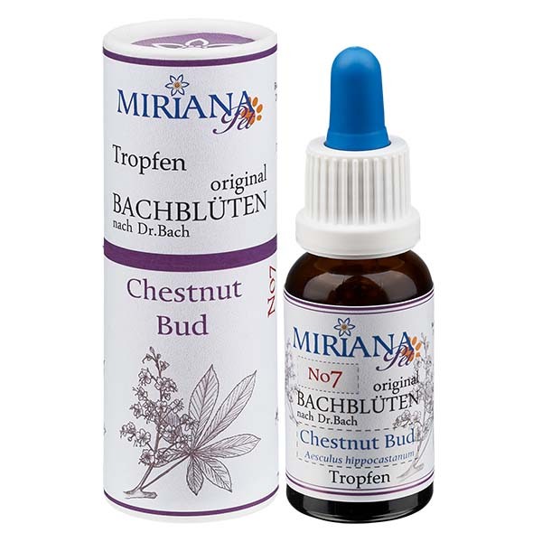 7 Chestnut Bud, 20ml Stockbottle, MirianaPet 7 Chestnut Bud, 20ml Stockbottle, MirianaPet