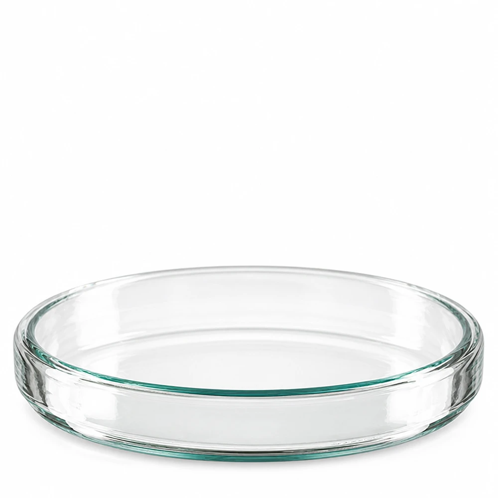 Petrischale 90x15mm Glas Leere runde Glaspetrischale 90mm Durchmesser 15mm Höhe auf weißem Hintergrund