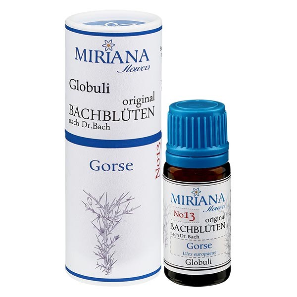 13 Gorse, 10g Bach-Globuli, MirianaFlowers 13 Gorse, 10g Bach-Globuli, MirianaFlowers