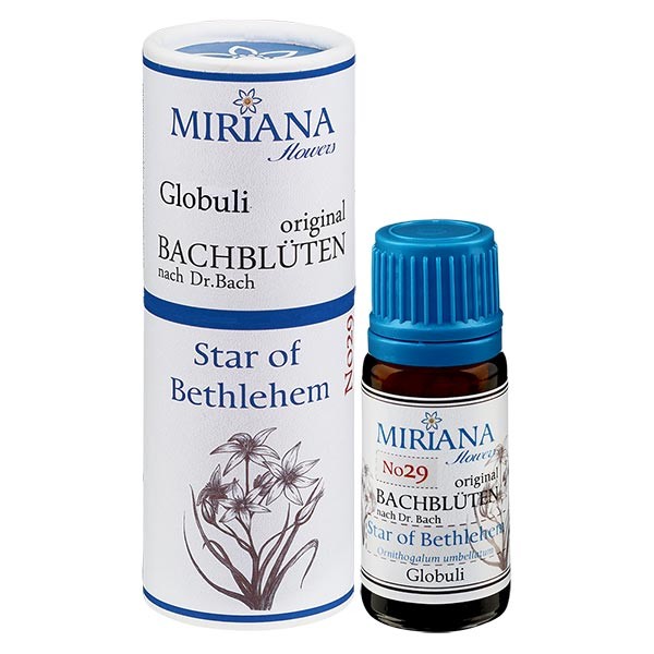29 Star of Bethlehem, 10g Bach-Globuli, MirianaFlowers 29 Star of Bethlehem, 10g Bach-Globuli, MirianaFlowers