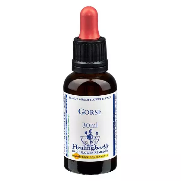 13 Gorse, 30ml, Healing Herbs 13 Gorse, 30ml, Healing Herbs