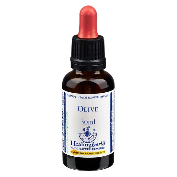 23 Olive, 30ml Essenz, Healing Herbs