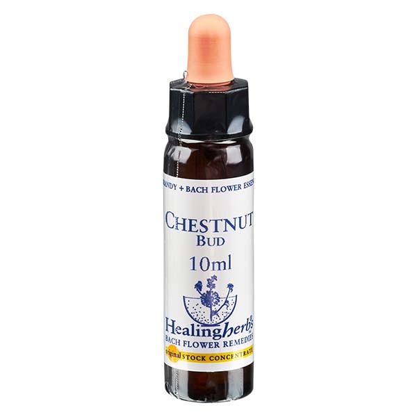 7 Chestnut Bud, 10ml Essenz, Healing Herbs
