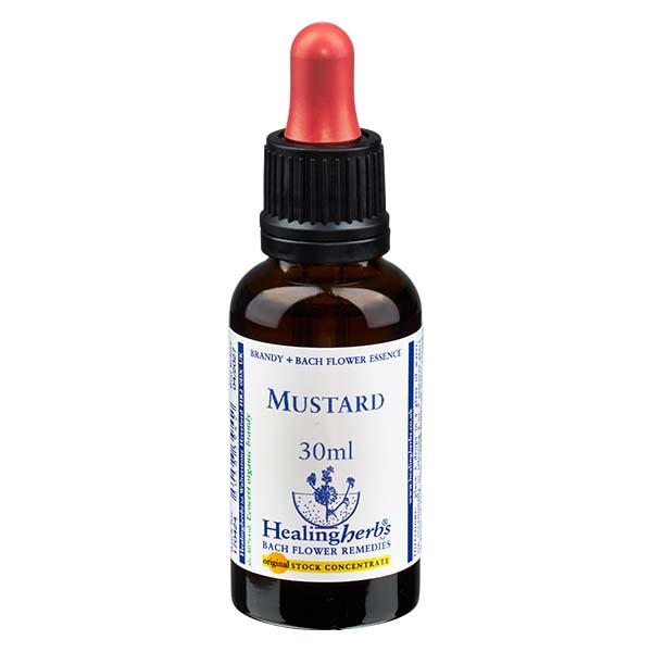21 Mustard, 30ml Essenz, Healing Herbs