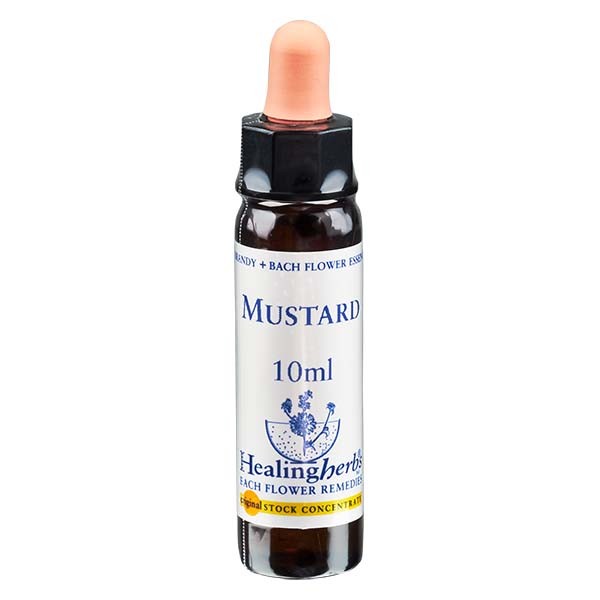 21 Mustard, 10ml Essenz, Healing Herbs