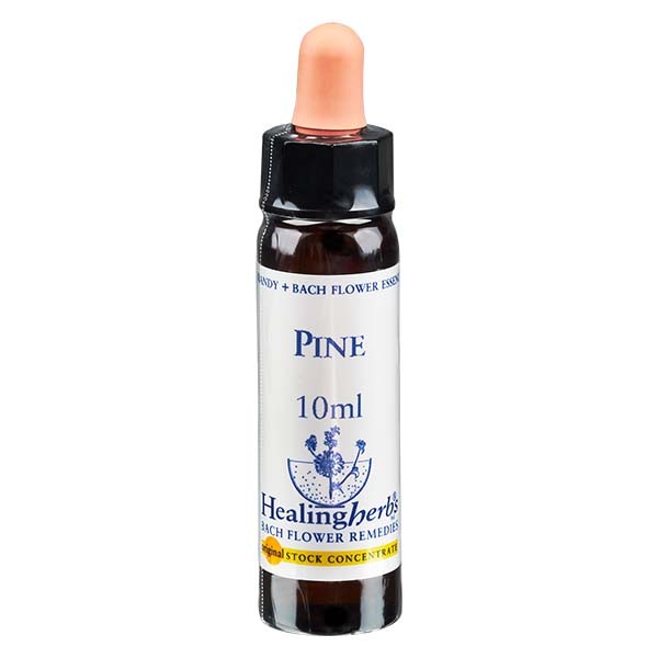 24 Pine, 10ml Essenz, Healing Herbs